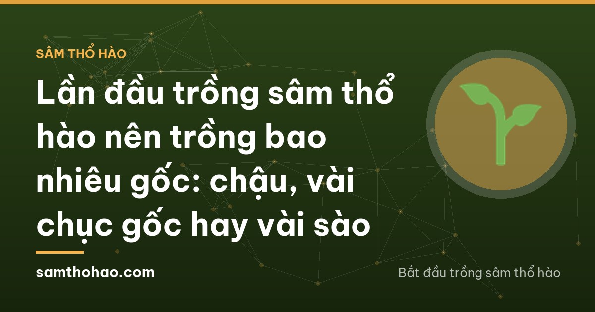 Wide shot of a rural backyard in Thanh Hoa with two short raised beds of young herb plants beside a vegetable patch, an older woman watering from a can, seen from behind