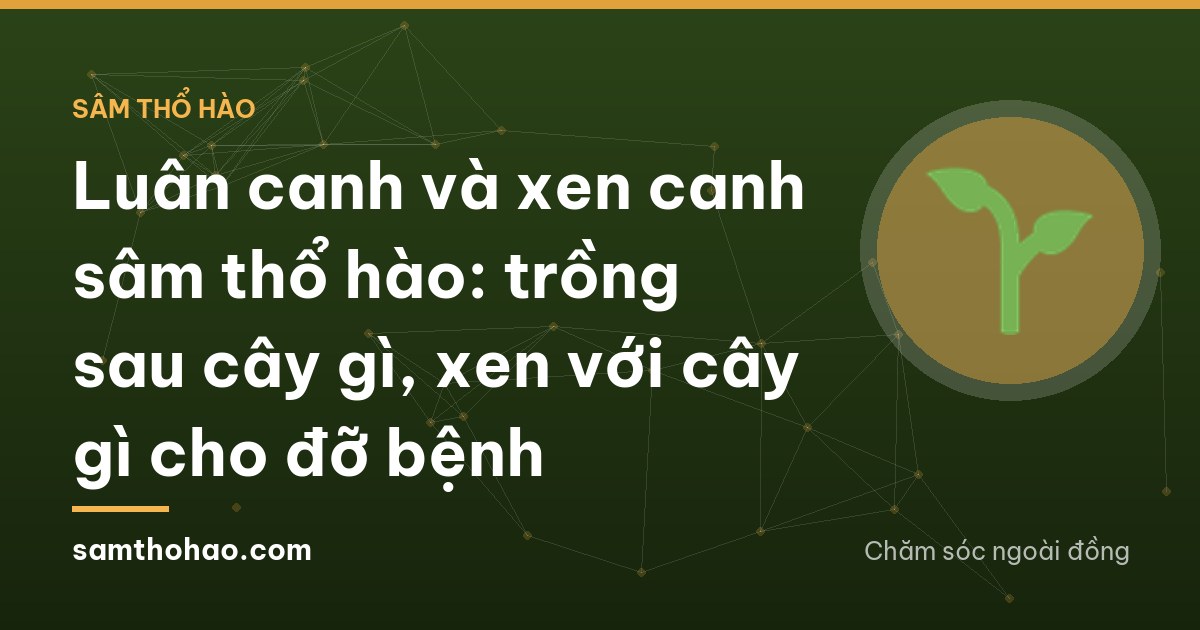 Aerial view of a small Vietnamese farm divided into neat plots, one plot of sâm thổ hào beside plots of young corn and green beans, narrow earth paths between, bright morning