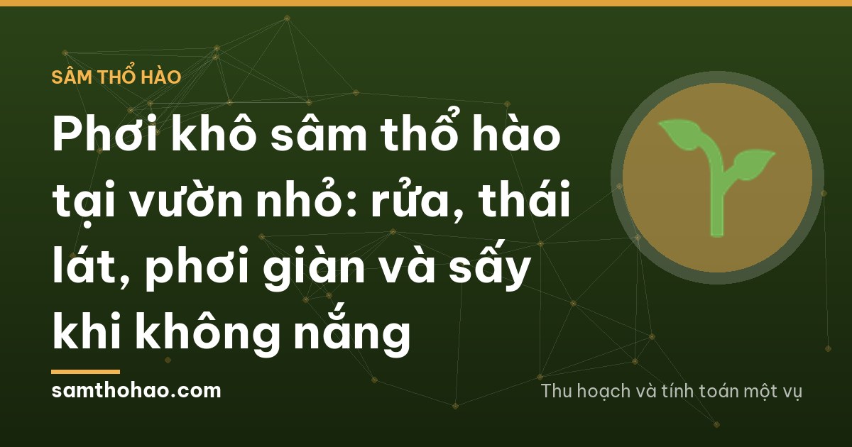 Top-down view of thin white root slices spread evenly on raised bamboo trays under a fine net in a farmyard in Ha Tinh, bright midday sun, no people