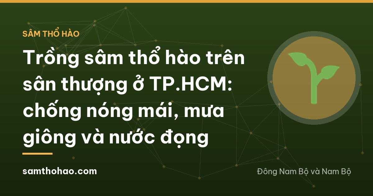 Rooftop of a narrow townhouse in Ho Chi Minh City with deep foam boxes of arrow-leaved plants raised on bricks under thin shade netting, dense rooftops behind, person seen from behind watering